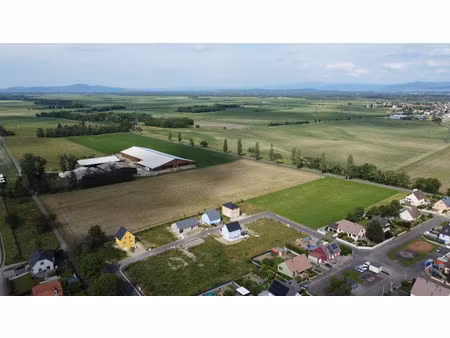 vente terrain 636 m² balgau (68740)