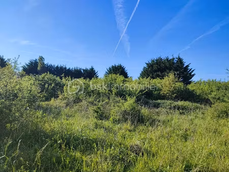 vente terrain 5088 m² à voisines (89260)  24 000 €