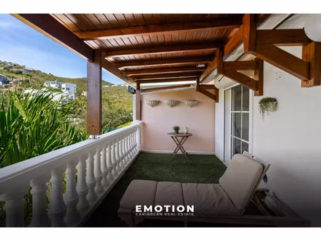 maison de luxe à vendre à saint-martin