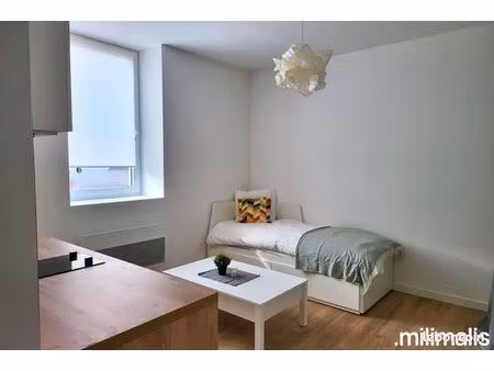 studio 1 pièce 19 m²