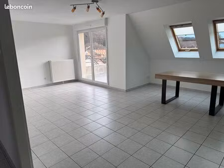 loue appartement 100m2 région altkirch