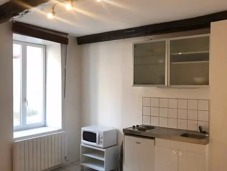 beau t1 meublé 25 m2 au calme près du centre et hôpitaux lyon sud