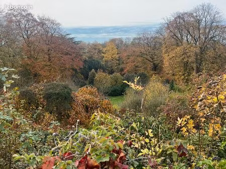 recherche grand terrain / bois (1 à plusieurs hectares) - projet loisirs nature