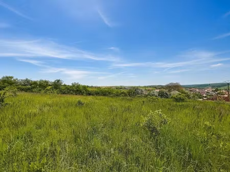 vente terrain 1550 m² à francheville (21440)  49 000 €