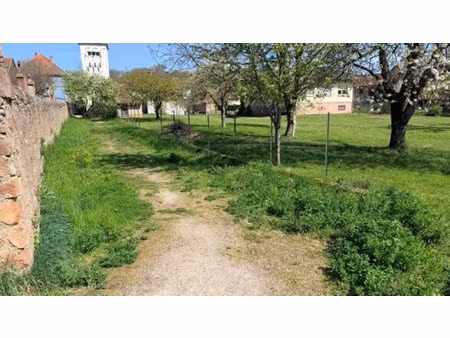 vente terrain 500 m² à osenbach (68570)  60 000 €