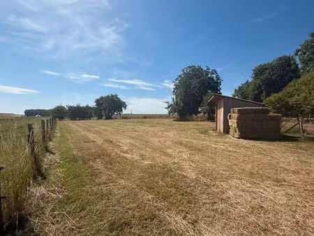 a louer : pré pour 1 cheval