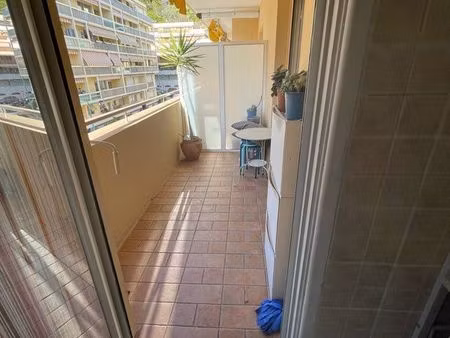 appartement 1 pièce