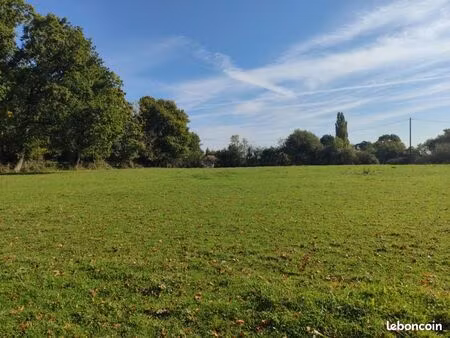 terrain 5 000 m² douville en auge