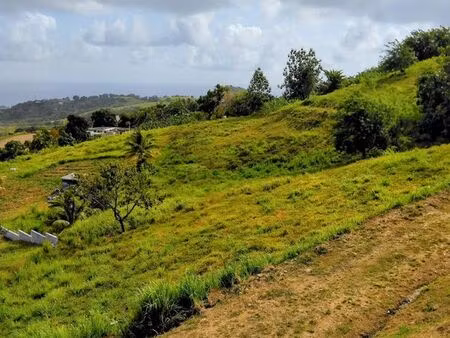 terrain constructible 1 200 m² – sainte-marie – 99 000