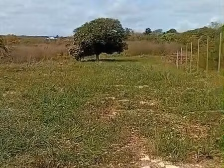 terrain plat constructible 500 m² – anse-bertrand (macaille) – 70 000