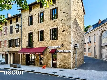 immeuble 6 pièces 219 m²