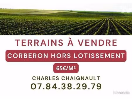 terrain 1037 m² corberon