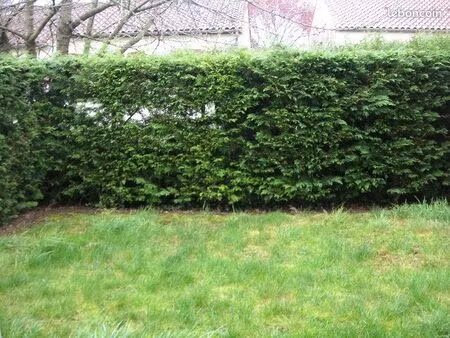 studio 1 pièce 22 m²