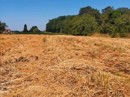 terrain à bâtir de 1777 m2 à magny les aubigny