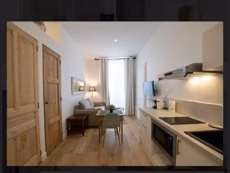 appartement à louer lyon 1 er