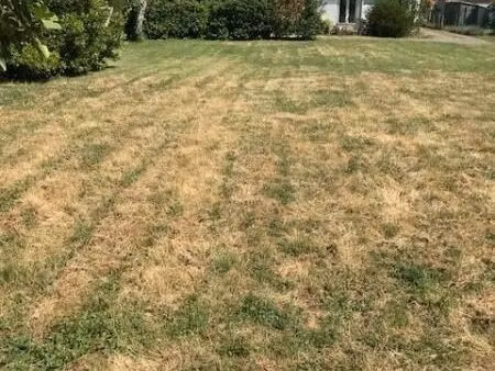 terrain 1032 m² st laurent de la pree