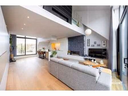 appartement en duplex lumineux avec mezzanine et grande terr