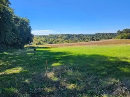 terrain 1 000 m² la chapelle gonaguet