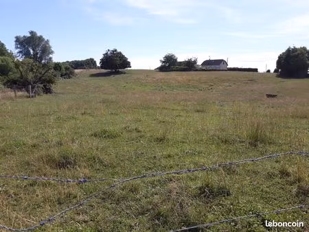 terrain constructible