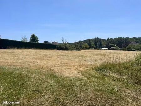 terrain à bâtir et prairie