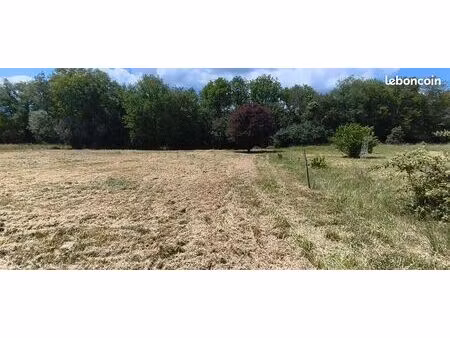 terrain constructible