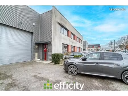 local 534 m²