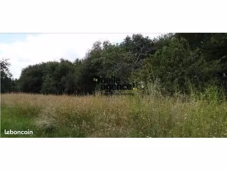 terrain 1 742 m² guipavas