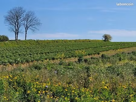 terrain 440 m² plouguerneau