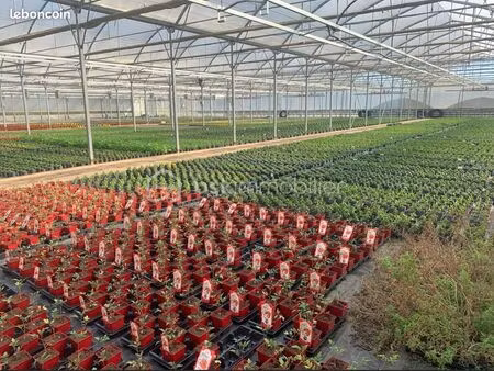 propriété 4 pièces 120 m²