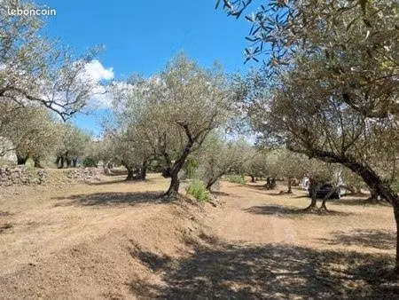 terrain de 2000m2
