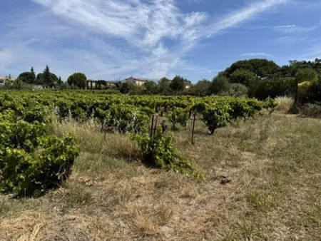 vente terrain 729 m² à mazan (84380)  154 000 €