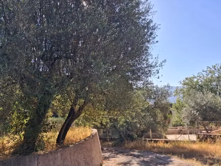 vente terrain 716 m² à pignans (83790)  154 000 €