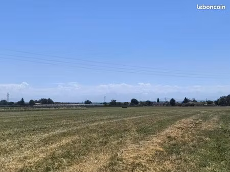 terrain 1 401 m² carbonne