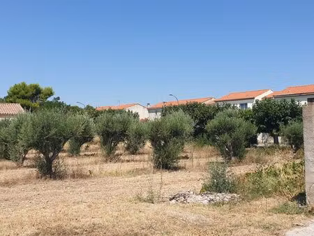 vente terrain constructible