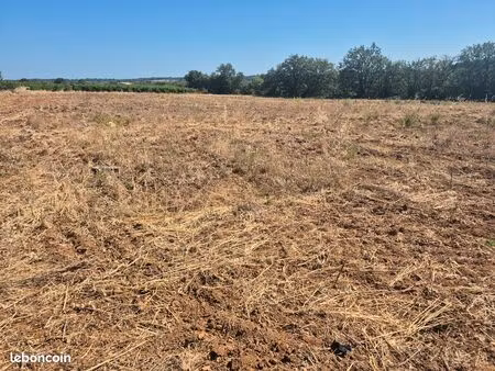 terrain agricole