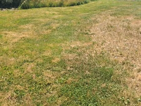 location terrain à la campagne