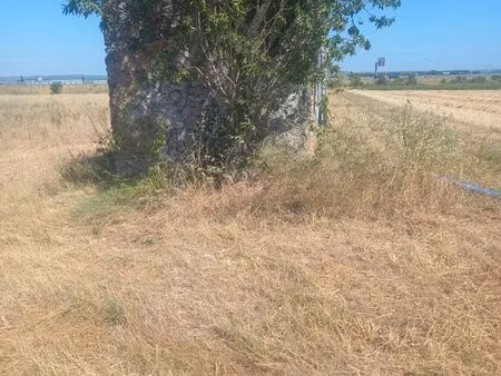 terrain agricole 4716 mk2 avec mazet 10 mk2
