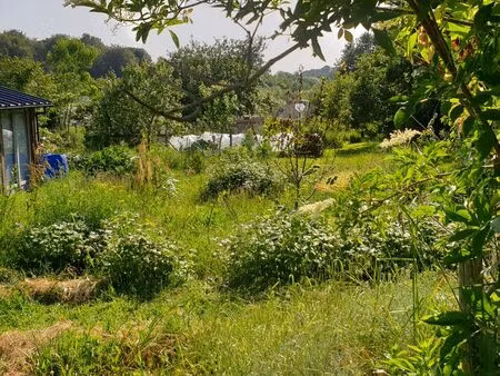 terrain constructible