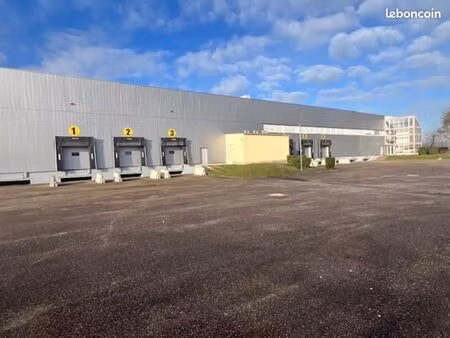 local logistique 10 690 m²