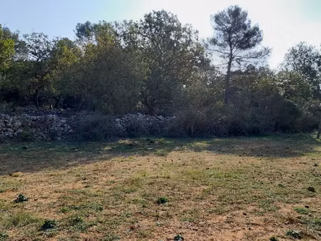 vente terrain 3000 m² à saint-maximin-la-sainte-baume (83470)  240 000 €