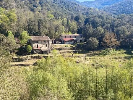 bien rare cévennes -mas + dépendances