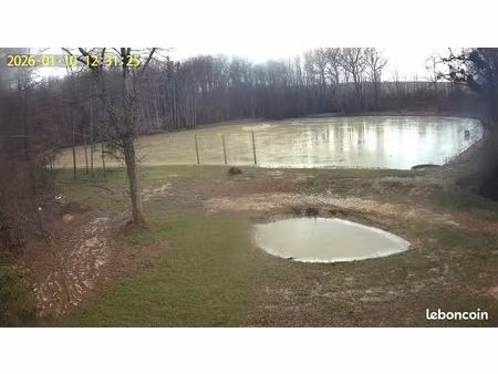 terrain à vendre avec étang plus bois