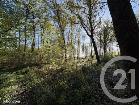 terrain 37 340 m² chasseneuil