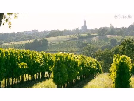 recherche fermage vigne