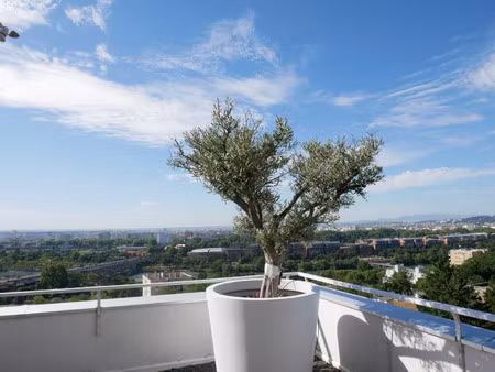 appartement de luxe à vendre dans le quartier petites brosses-boutary