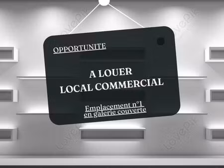 local 41 m²