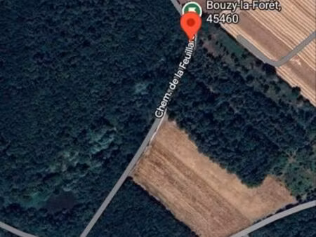 terrain forestier