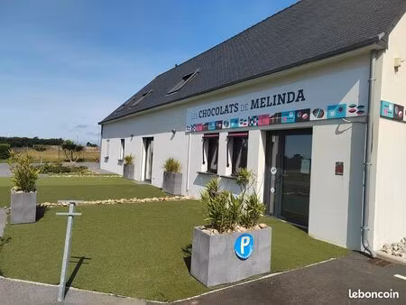 local professionnel