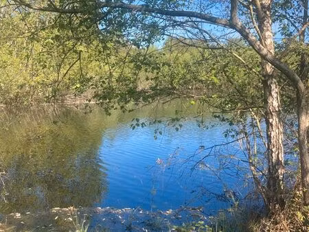 a vendre terrain 7 hectares avec étang saint viâtre sologne