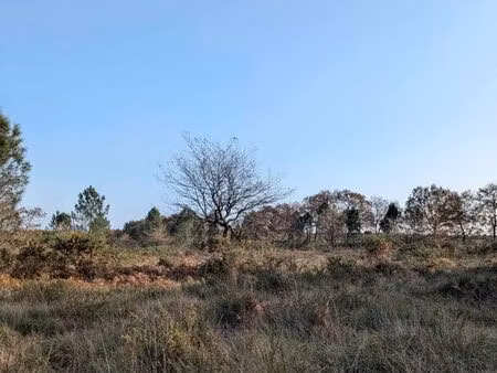 terrain naturel 4 2 ha – tartas (landes) – projet nature/loisirs